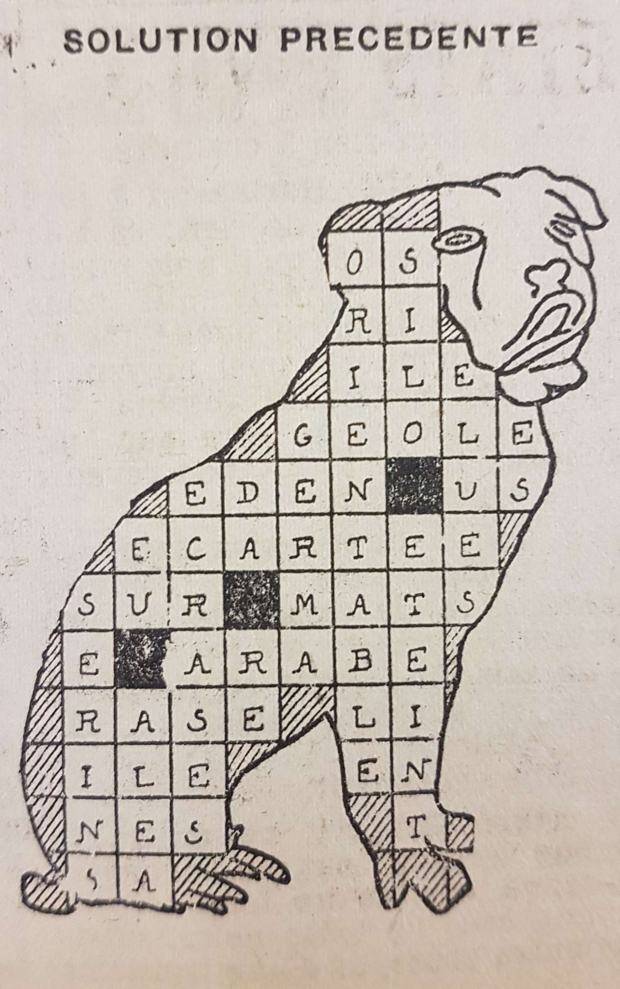 Mots croisés bouledogue solution