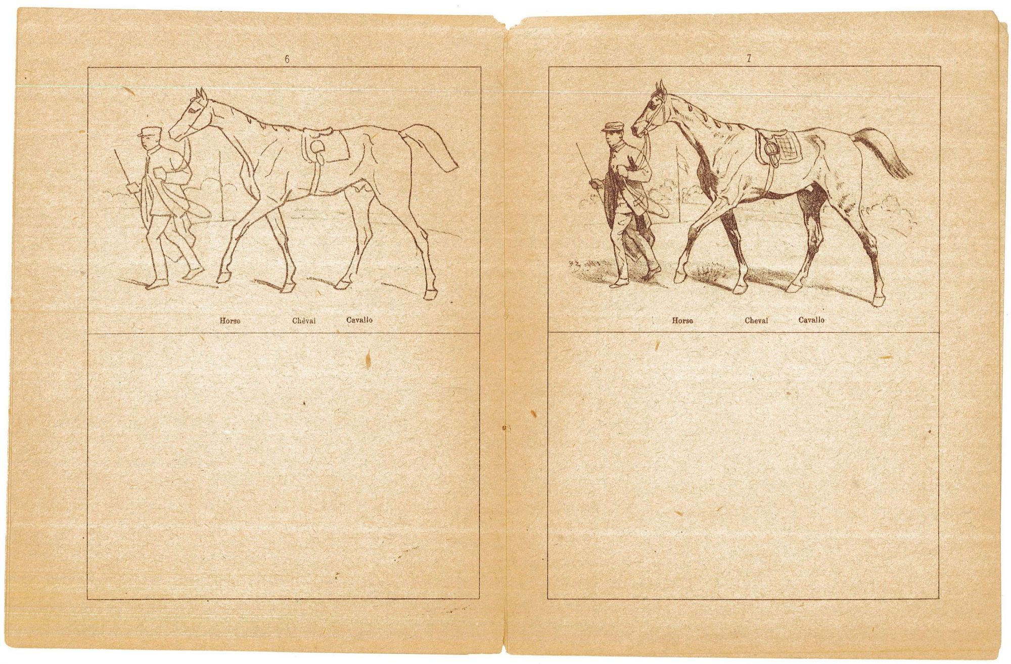 Le cheval et son maître