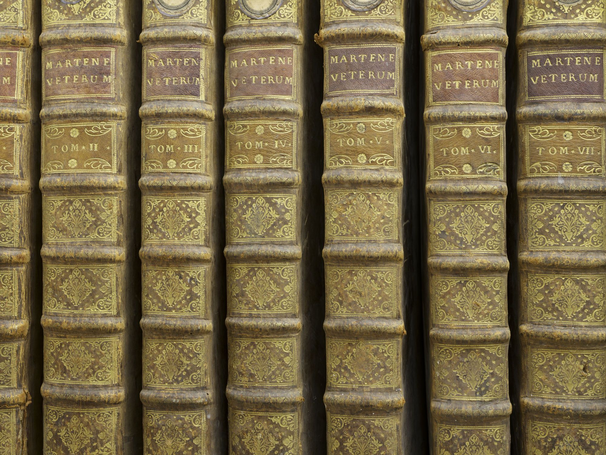 Du côté de la bibliothèque...